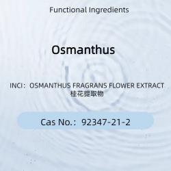 Osmanthus